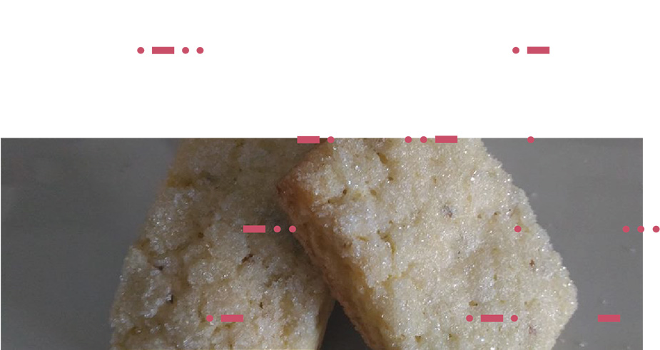 headeracteurpetitbiscuit