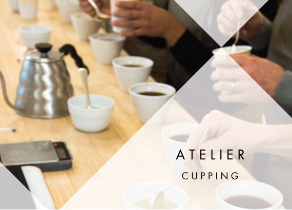 Atelier cupping