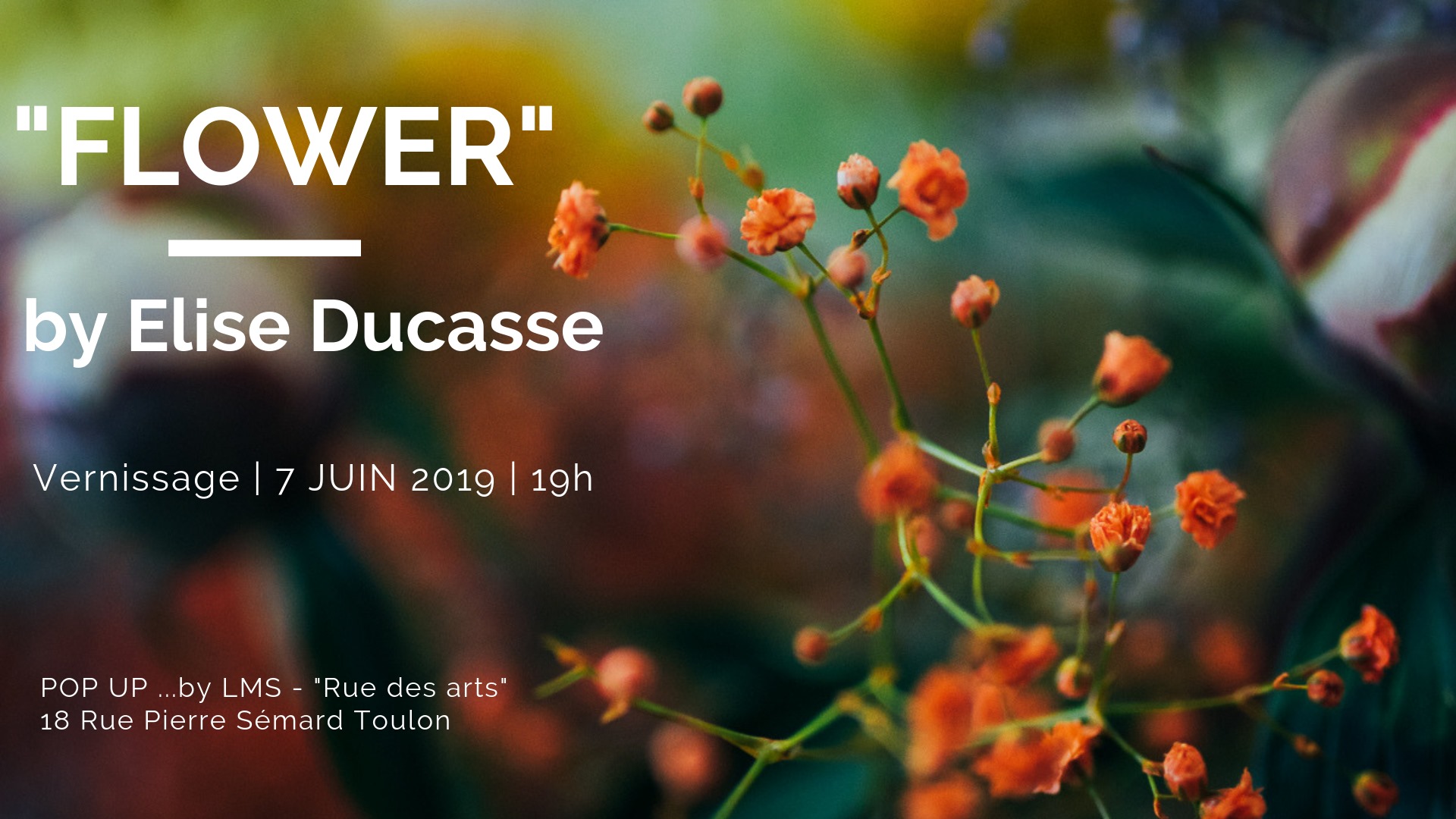 Vernissage Flower BYLMS