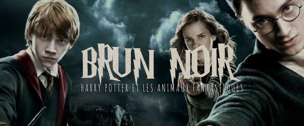 HP brun noir
