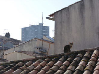 Expo NOS MURS Rue des Arts
